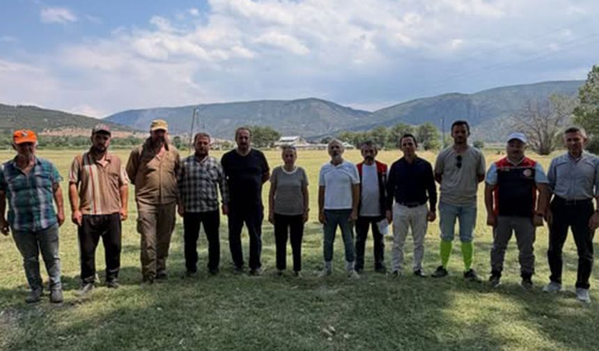 Kargı’da mera ıslahı için ön çalışma tamamlandı