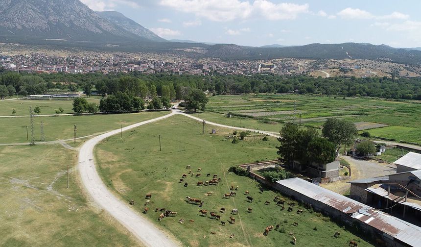Kargı’da mera ıslahı için etüt çalışması yapıldı