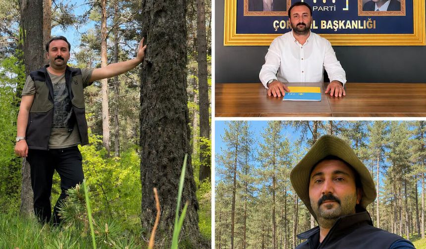 Yılmazer: “Ormanlar milli servetimiz; yanıp kül olmasın..!”