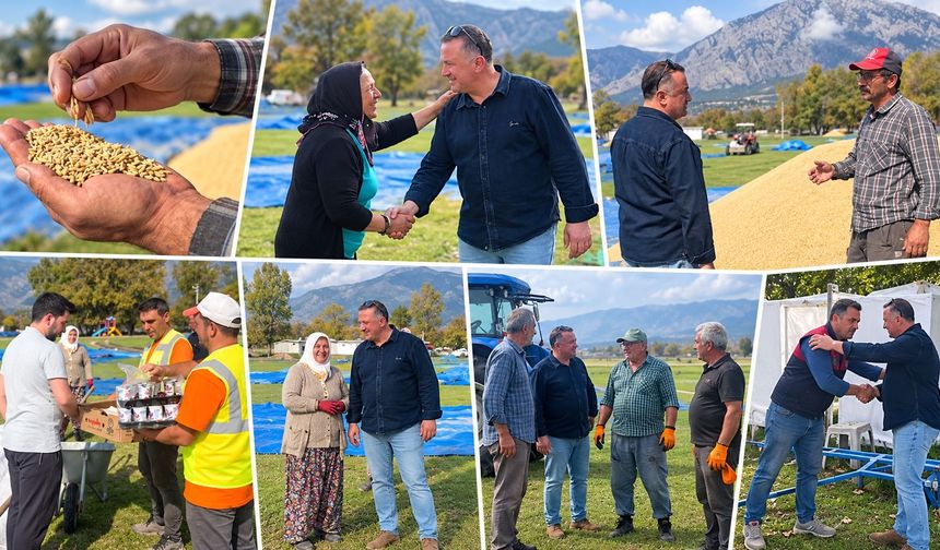‘Beyaz Altın’ hasadı sürüyor! Başkan Hamit Dereli  üreticilerle buluştu