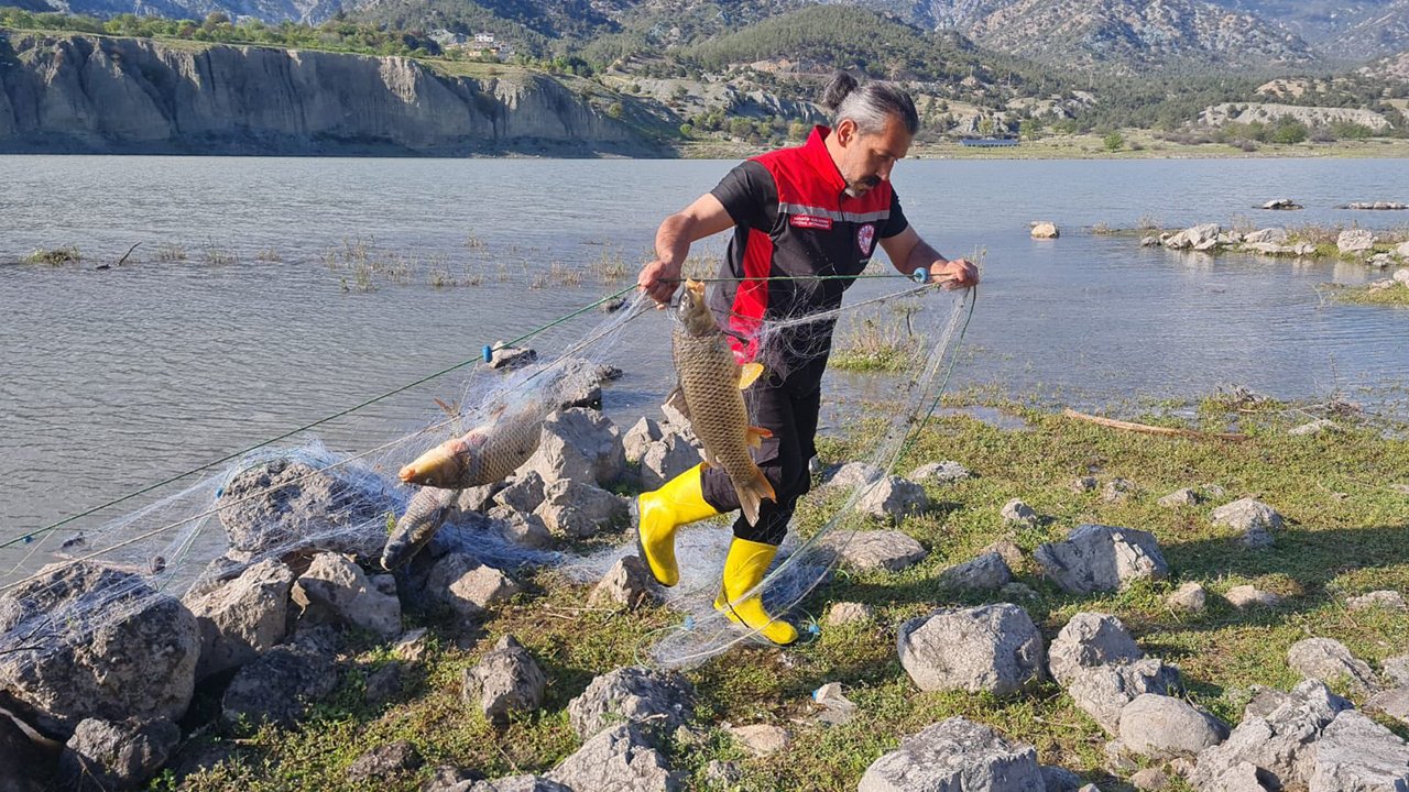 683635373 122232150884108366 7819376492037640014 N