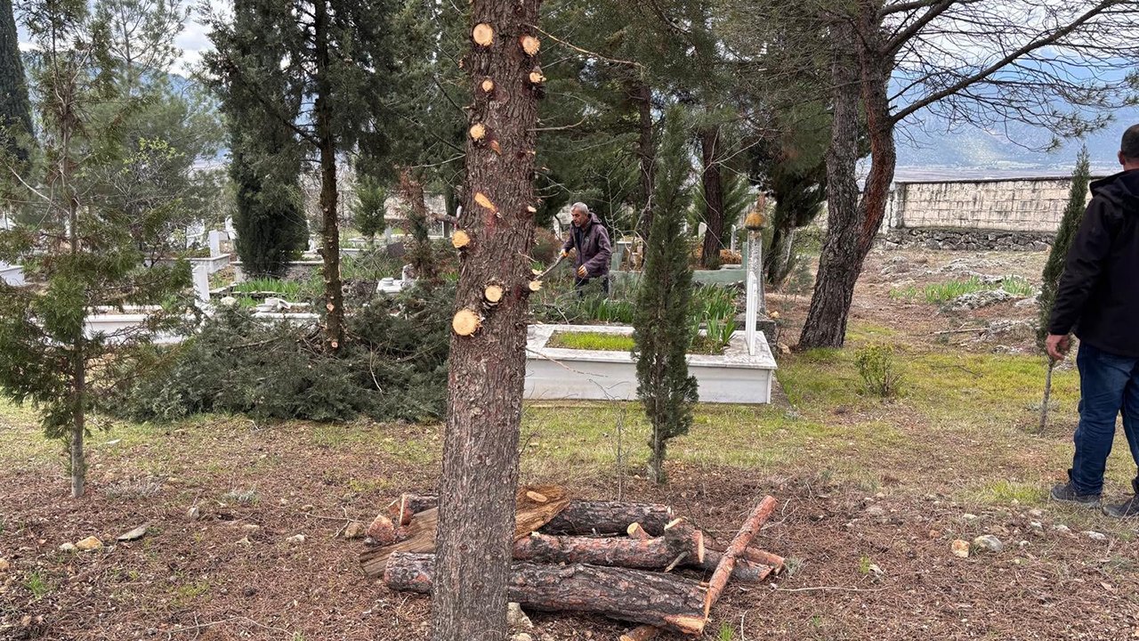 Kabristanbahartemizligi (2)