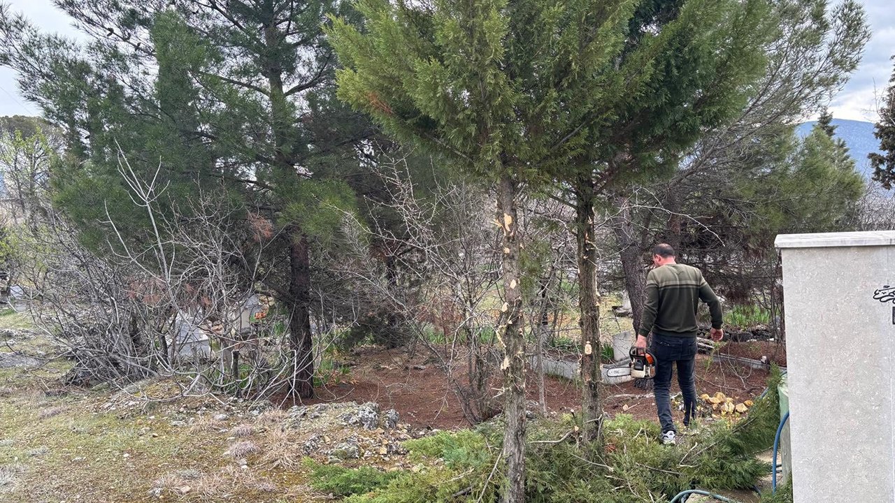 Kabristanbahartemizligi (3)