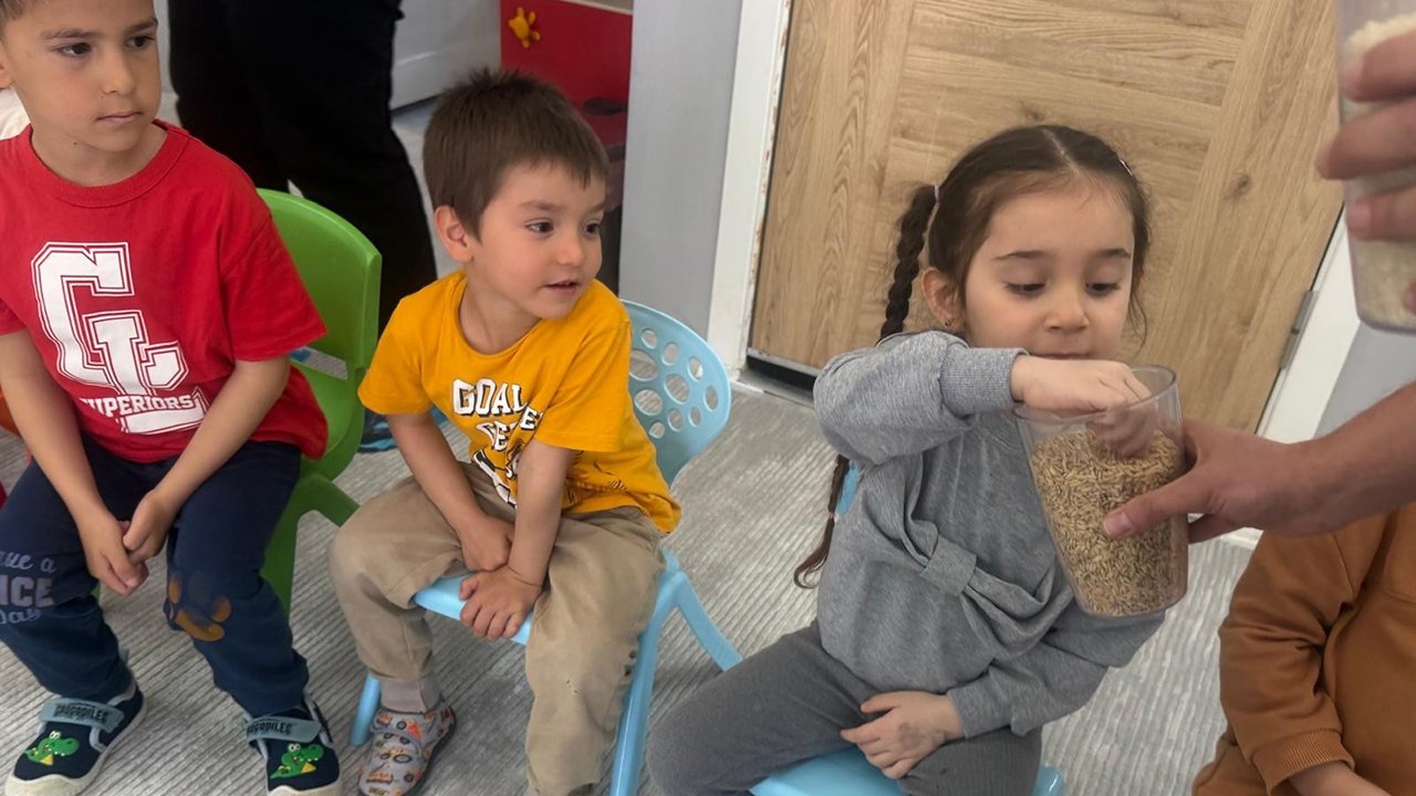 Kargıceltikseruveni (5)