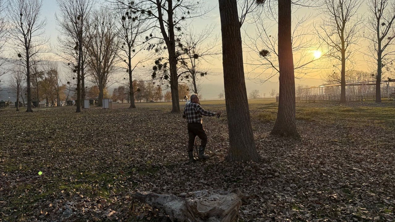 Sosyaltesiskargı (1)