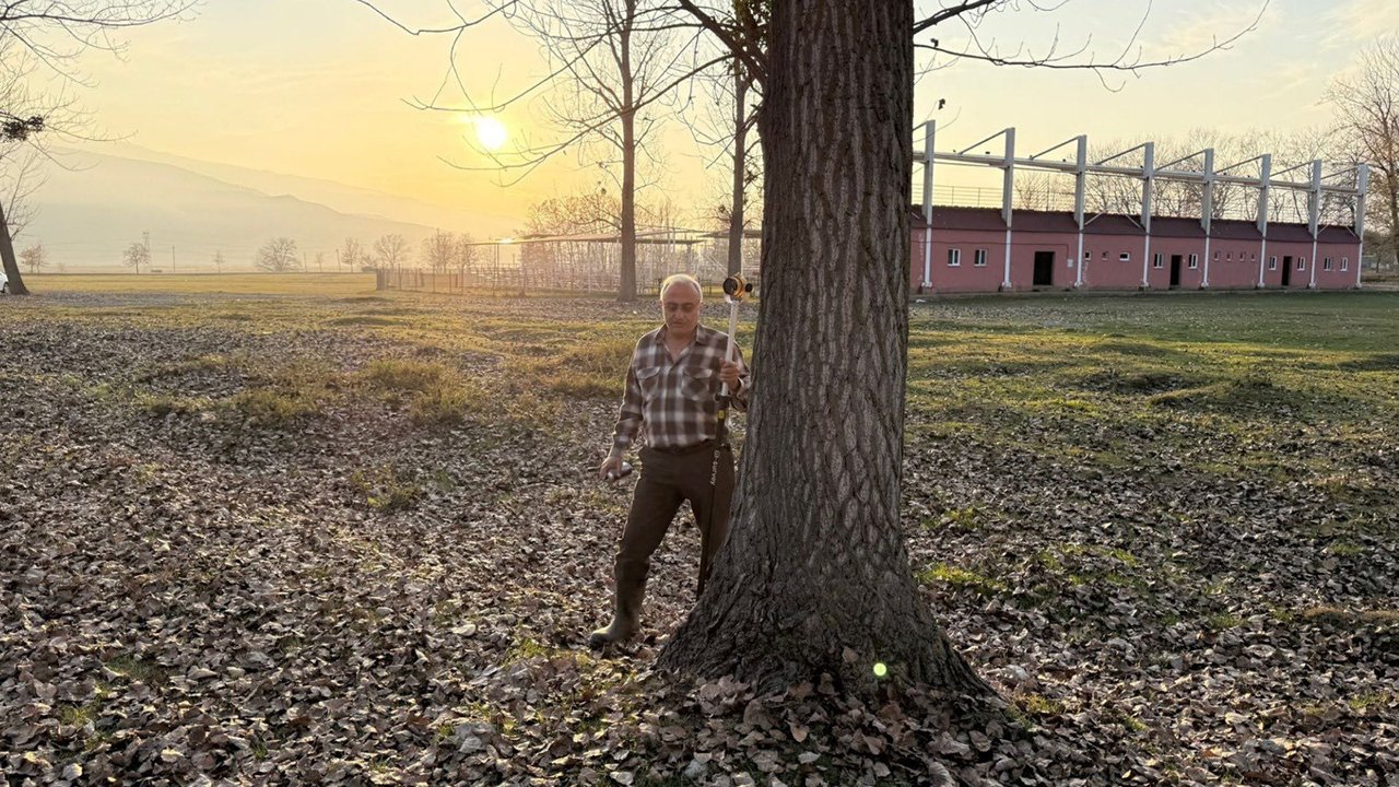 Sosyaltesiskargı (2)