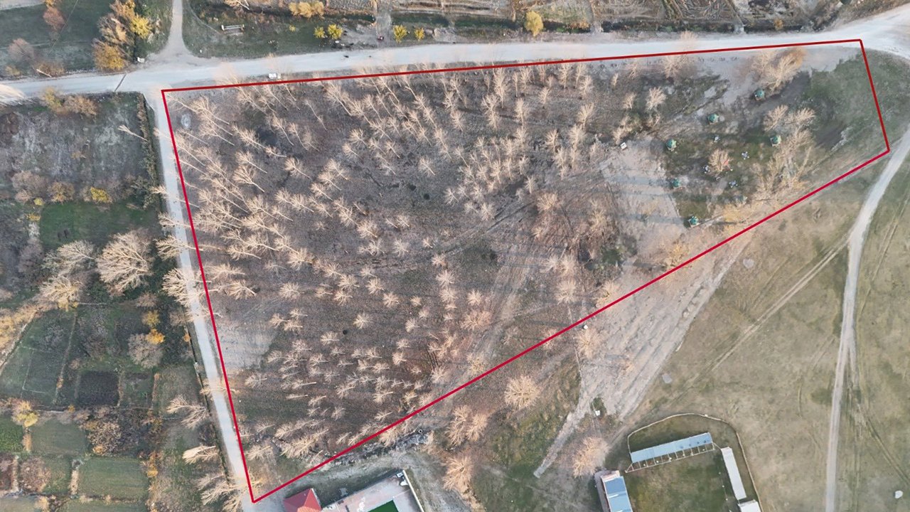 Sosyaltesiskargı (5)