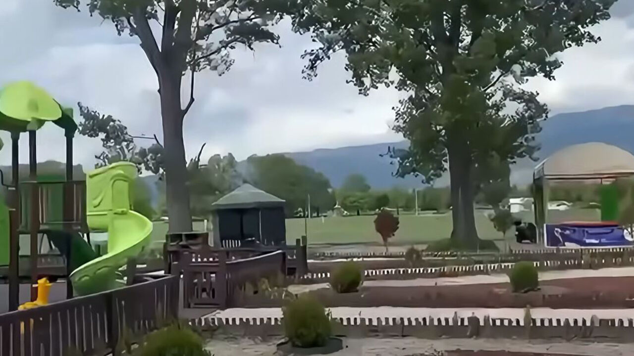 Kargı1