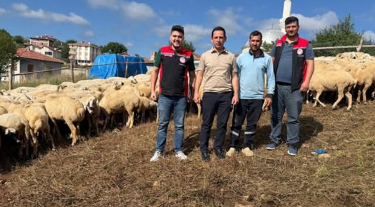 Kargı’da küçükbaş hayvan işletmesine teknik ziyaret