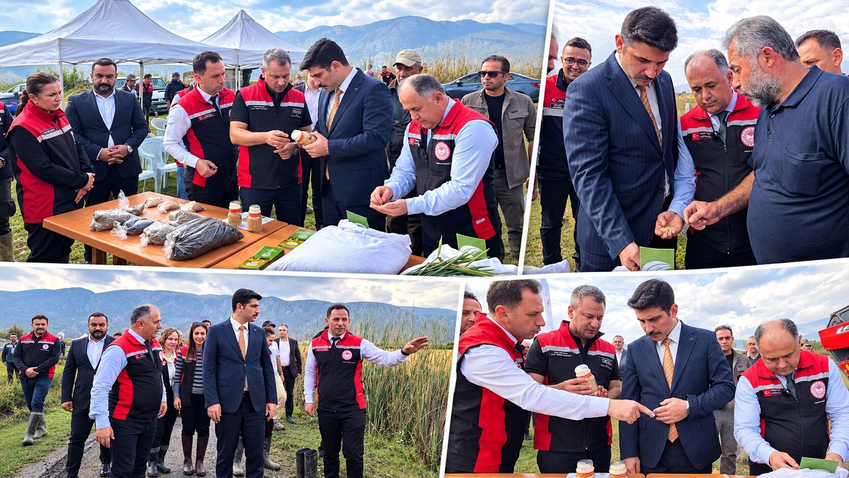 Yeni Çeltik Çeşidinde Deneme Hasadı Yapıldı